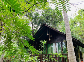 Coconut Tree House